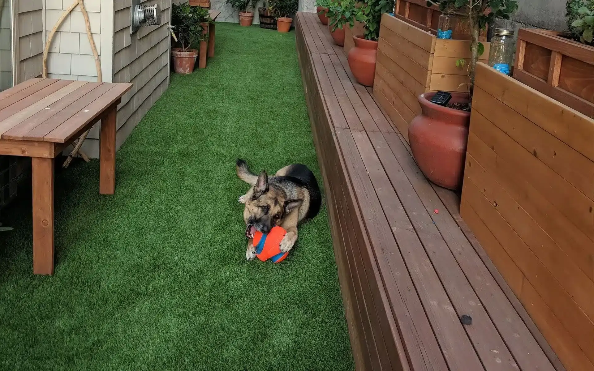 Pet-Friendly Grass Artificial Grass