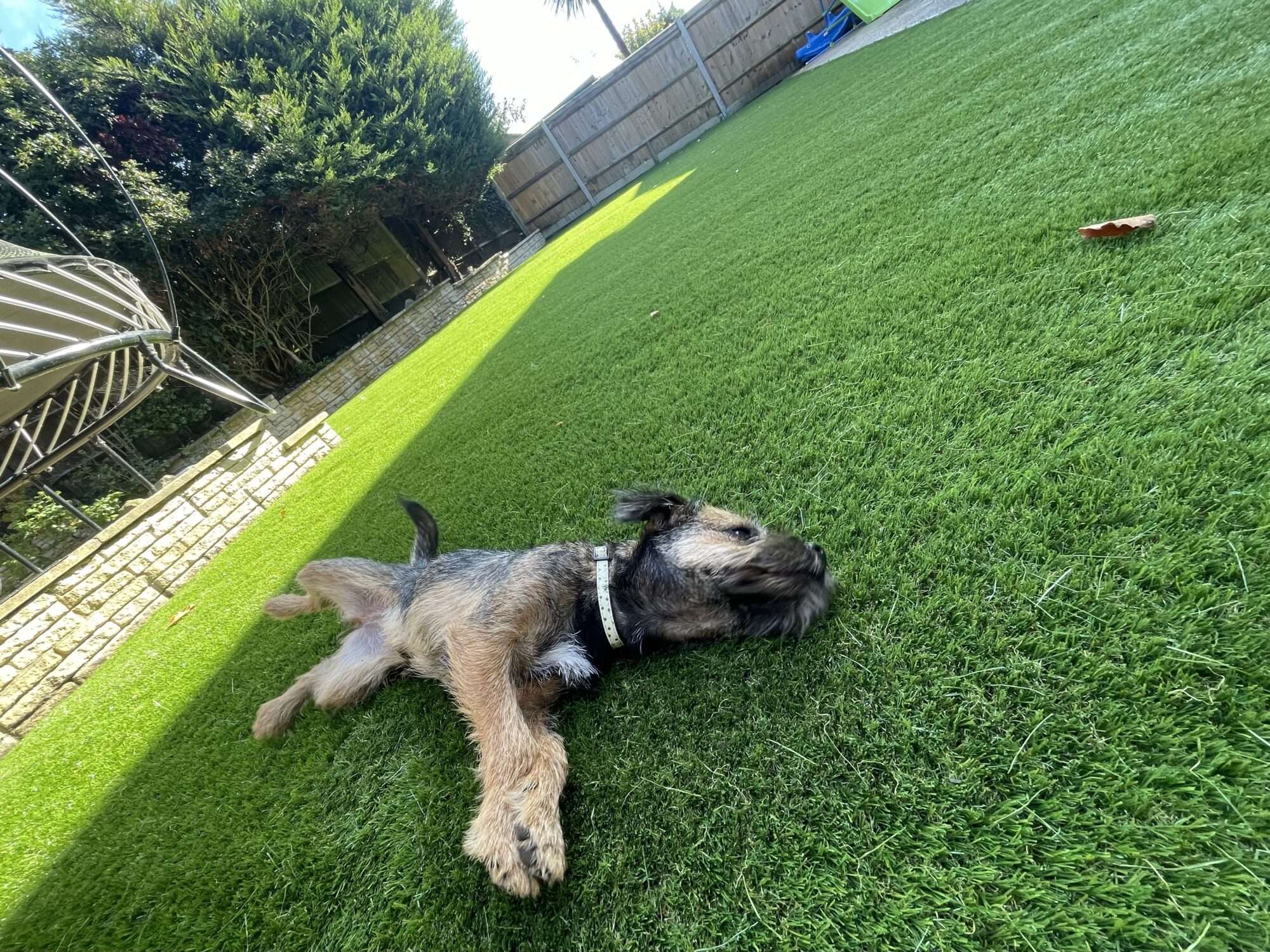 Tour Greens Houston pet-friendly artificial turf installation
