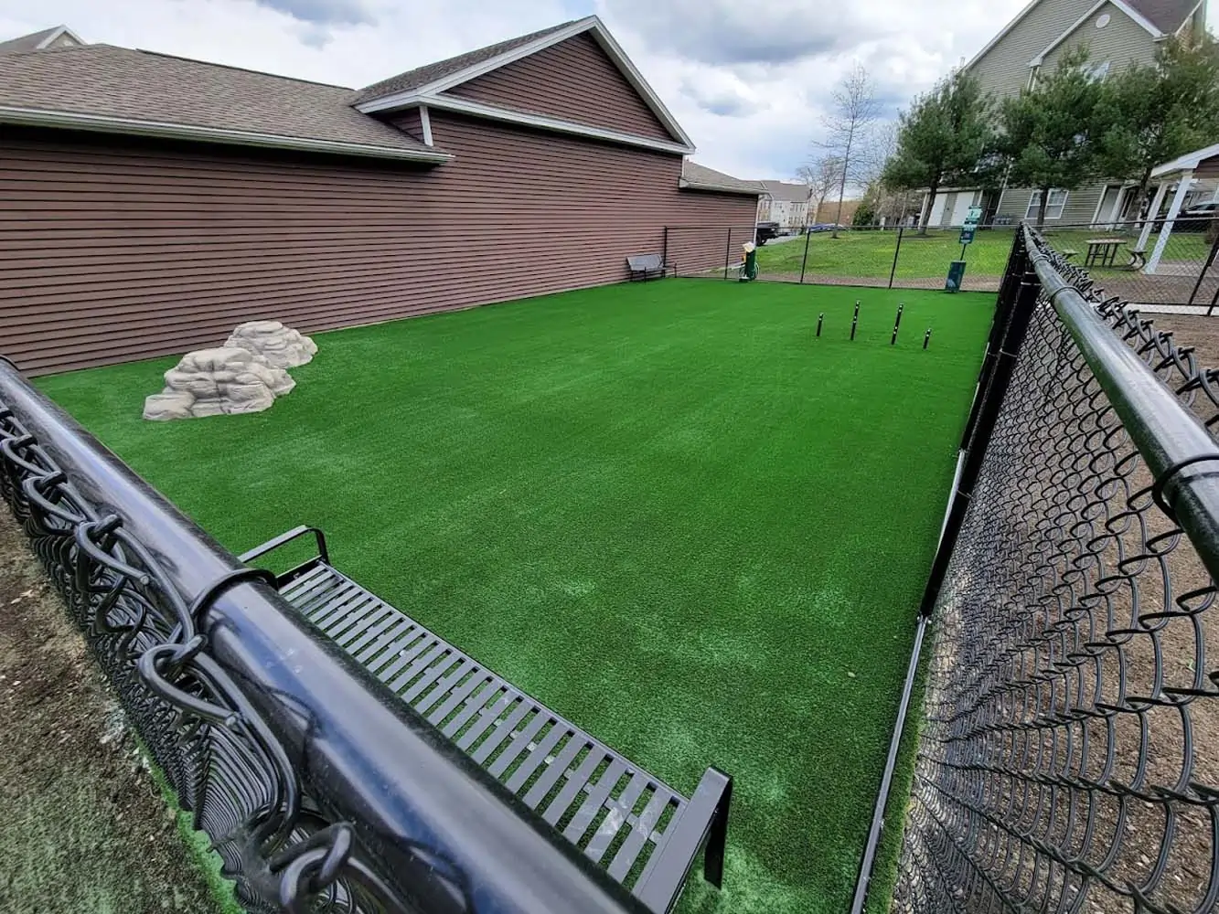 Sub-surface drainage system for Houston pet turf