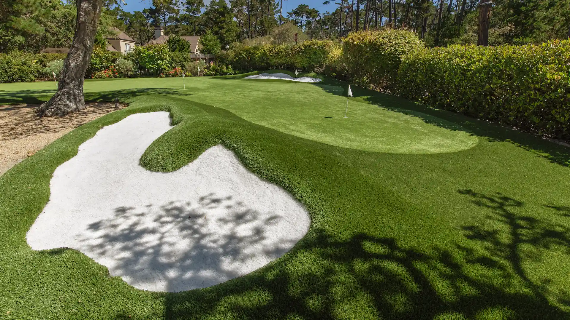 Backyard Putting Course